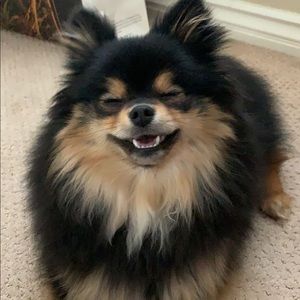 Meet your Posher, Felicia